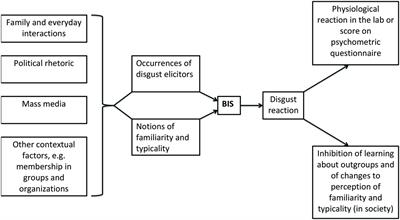 Pathogens and Immigrants: A Critical Appraisal of the Behavioral Immune System as an Explanation of Prejudice Against Ethnic Outgroups